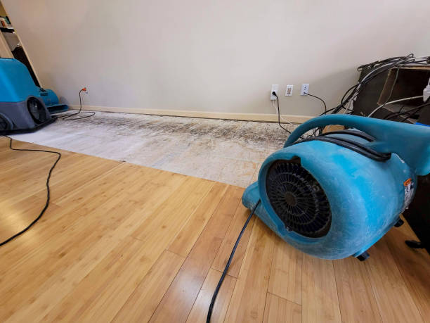 Professional Ceiling Water Damage Repair technician working in Leicester, MA